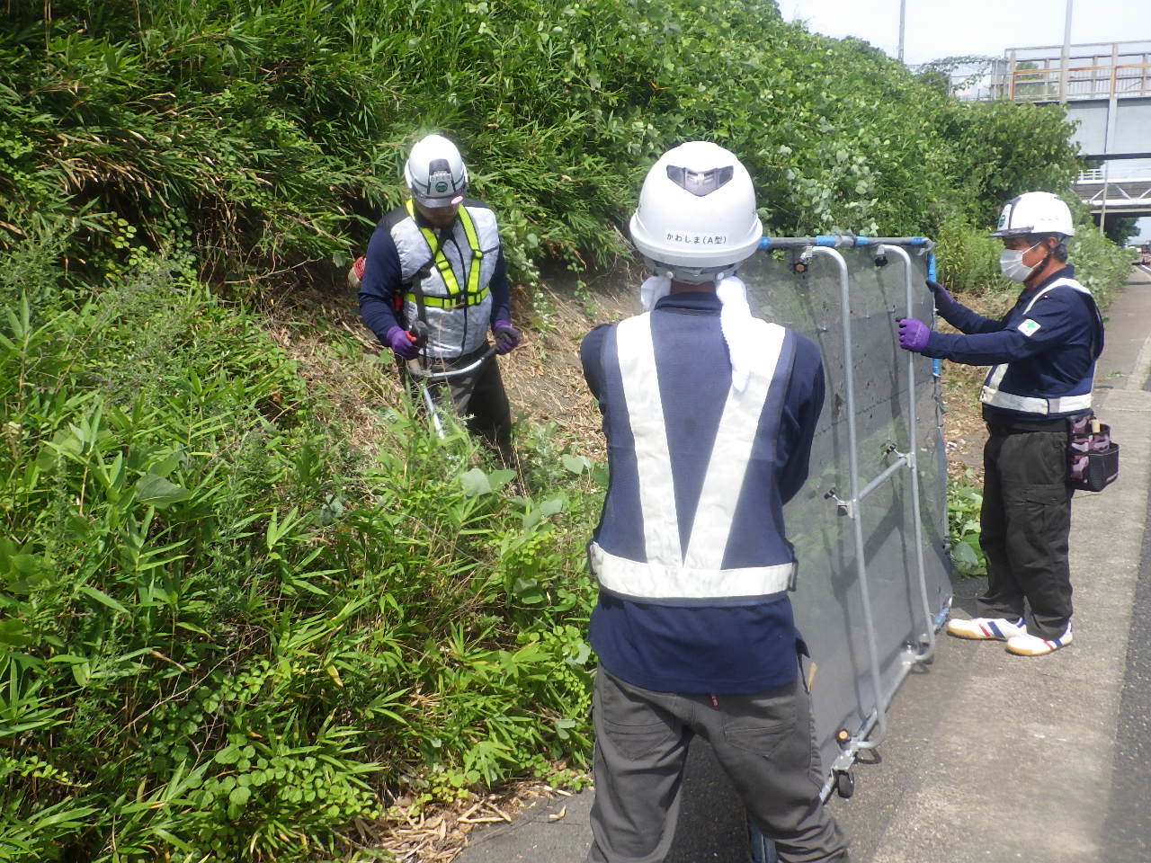 除草作業